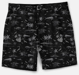 SCALES SHORTS NEVER A TOURIST SHORT '23